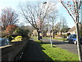 Looking north up Oakwood Avenue