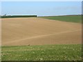 Farmland, Marlow