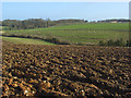 Farmland and reclaimed landfill, Marlow