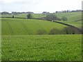 SU8490 : Farmland, Marlow by Andrew Smith