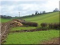 Farmland, Marlow