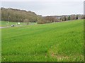 Farmland, Marlow