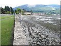 The shore of Carlingford Lough, Rostrevor