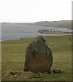 Standing stone, Finlaggan