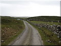 Farm road near Ballimartin