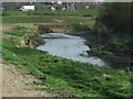 New Wetland Area River Roding