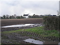 Muddy field at Greenhurst