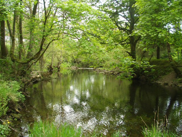 River Vyrnwy below the Lake Vyrnwy dam © John Firth :: Geograph Britain and Ireland