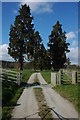 Entrance to Haffield, near Donnington