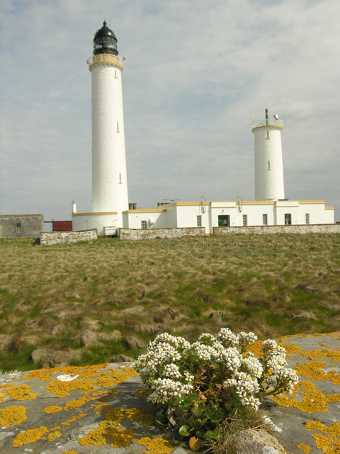 Muckle Skerry Lighthouse