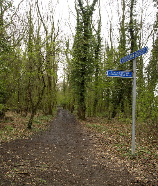 Where The Transpennine Trail Meets The © Andy Beecroft Cc By Sa20 Geograph Britain And 0174