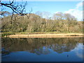 Early morning reflections in Maen Valley