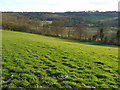 Hillside above Watlington