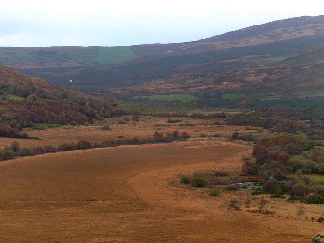 boggy-land-on-the-slaheny-river-richard-fensome-cc-by-sa-2-0-geograph-ireland