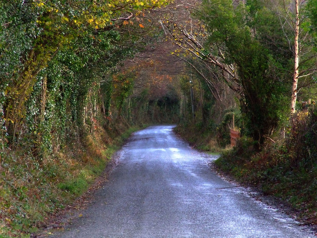 Country Lane at Cumeen