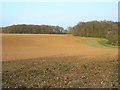 Farmland, Mapledurham