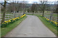 Road leading from Caley Hall Farm