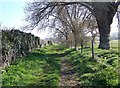 Footpath to Durnford Mill