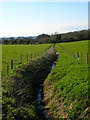 Stream near Tottington Cottages