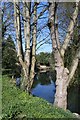 River Gipping at Great Blakenham