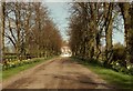 The approach to Limbourne Park Farm