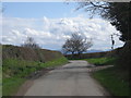 Continuing along the lane to Little Ness