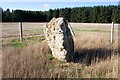 Rappla Standing Stone Aberdeenshire 2006