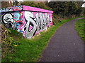 Graffiti by the Lagan