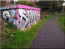 J3470 : Graffiti by the Lagan by Rossographer
