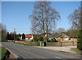 Houses on Short-Thorn Road