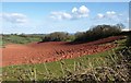 SX8561 : Ploughed field, Buttshill Cross by Derek Harper