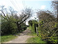 Footpath along the old tramway