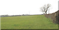 View across the fields towards Ddol Farm