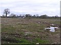 Ballynageeragh Townland