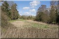 Field next to Lin Brook as it passes under the A338 at Ringwood