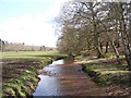 Dockens Water, New Forest