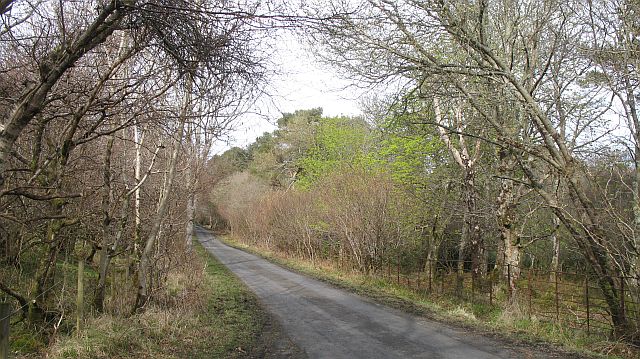 Ardtalla road near Torr Mhuillin