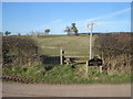 Footpath at the entrance to Holling