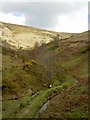 Clwyd Tributary Valley