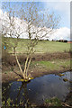 The Nottingham Canal (disused)