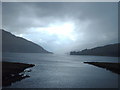 NN2904 : Loch Long by Lynn M Reid