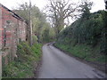 Lane beside Haughton Farm