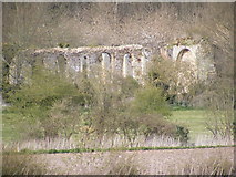 TM3669 : Remains of Sibton Abbey very close up by Geographer