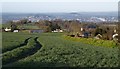 Field by Rowden Cross