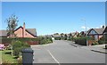 Bungalows at Newlands Park