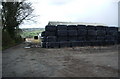 Winter feed at Cornfield House, Burnley