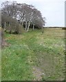 Footpath up the hillside off Wakefield Road, Lepton