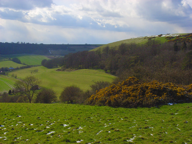 Walbury Hill's southern side