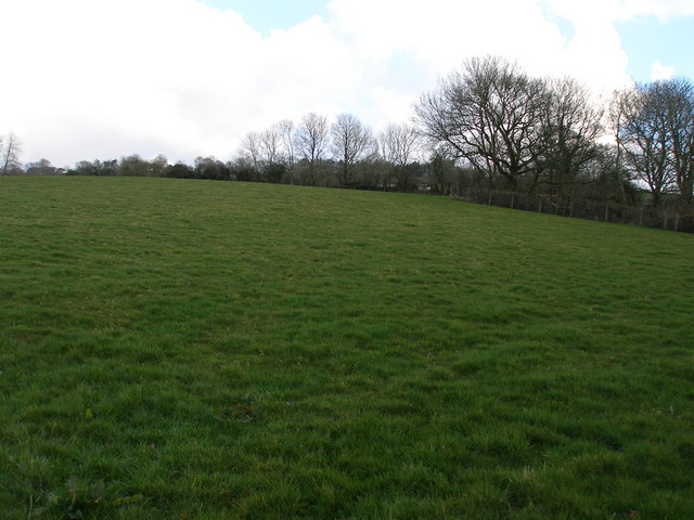 Pasture land