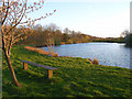 Fishing lake, Englefield